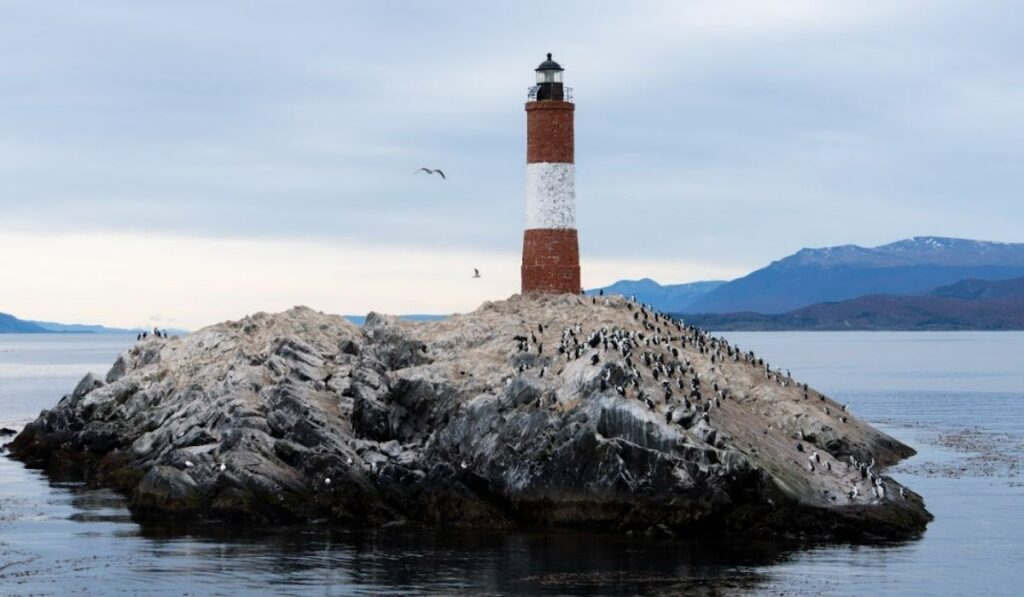 Faro Les Éclaireurs y pingüinos